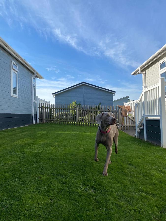 Croyde Bay Hotel Or Self Catering Luaran gambar